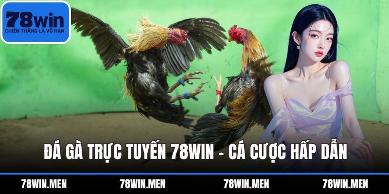 Đá Gà Trực Tuyến 78WIN